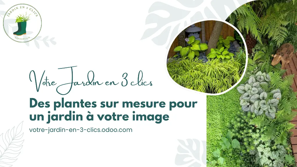 coffret méditerranéen 10m² (2).webp