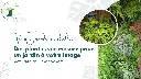 coffret méditerranéen 10m² (2).webp